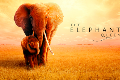 The Elephant Queen Apple TV+