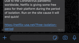 Netflix coronavirus scam