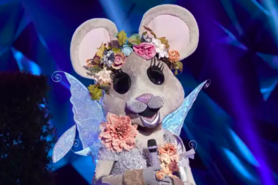 The Masked Singer Fox