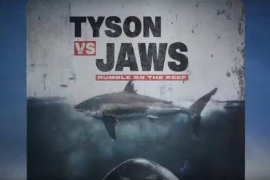 Tyson vs Jaws on Shark Week