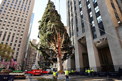 The Christmas tree at Rockefeller Center Plaza in New York City