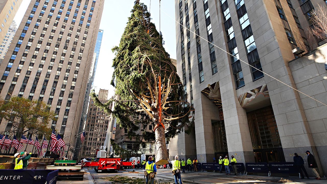 The Christmas tree at Rockefeller Center Plaza in New York City